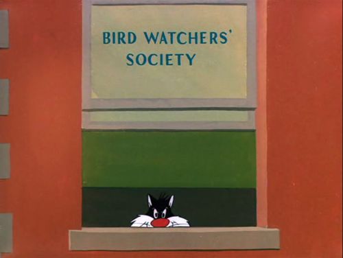 Sylvester the Cat staring out the window of a building. The window has the words "Bird Watchers' Society" stenciled onto it.