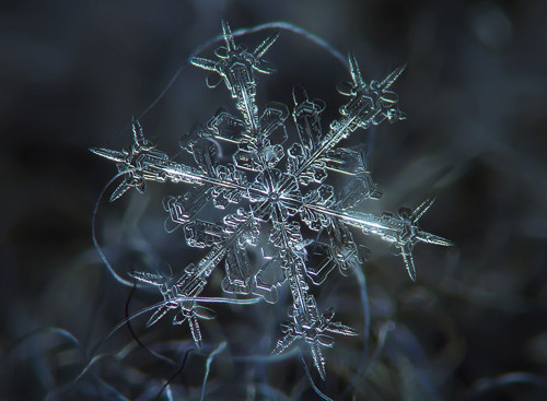 Zoomed in picture of a real snowflake, showcasing both its greater symmetrical and lesser asymmetrical aspects. [Formatted]