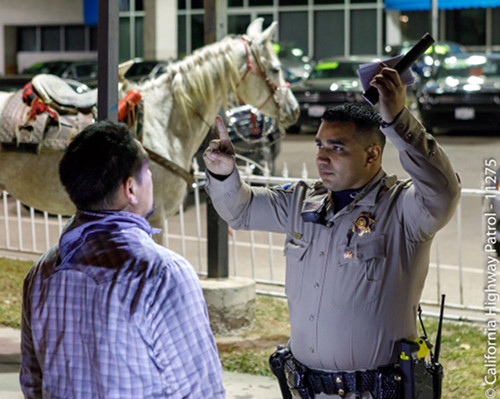 Police officer performing a DUI test on man. The man's horse is in the background. [Formatted]