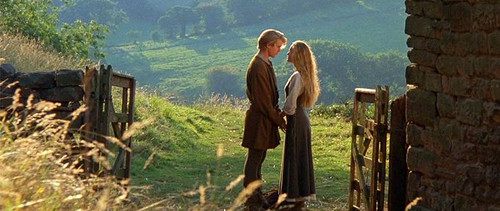 Wesley and Buttercup holding hands and staring into one another's eyes in an idyllic countryside. [Formatted]